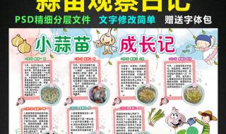 蒜苗1一7天的成长记录图