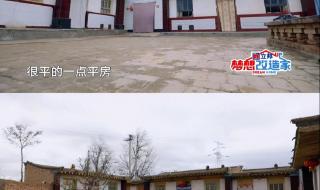 《梦想改造家》设计引争议