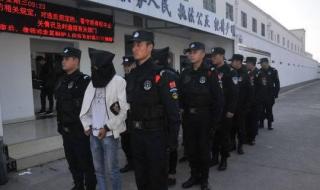 网约车司机8次碰瓷公交车