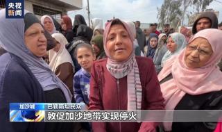 加沙地带属于哪个国家的